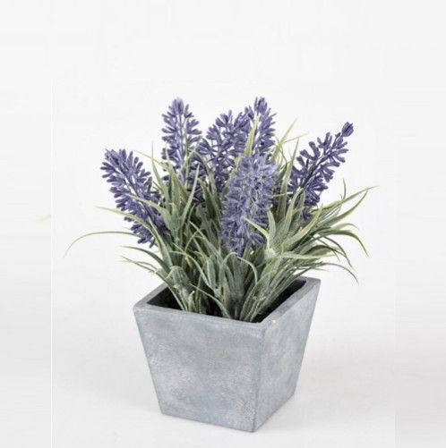 MACETITA LAVANDA CUADRADA - Imagen 2