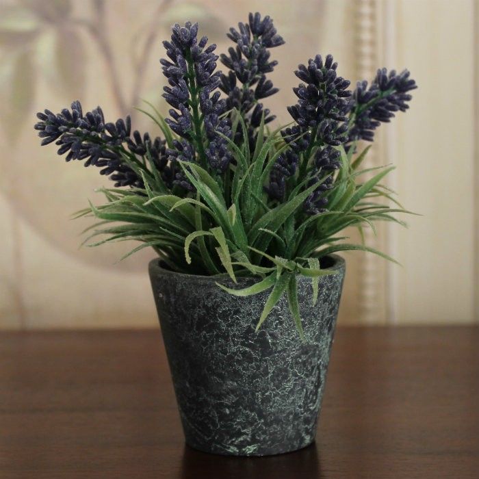 MACETITA LAVANDA REDONDA