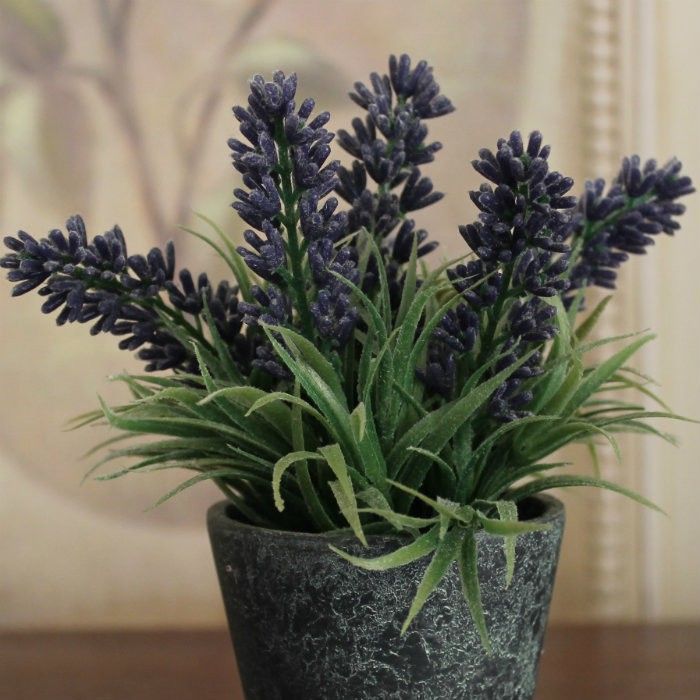 MACETITA LAVANDA REDONDA - Imagen 2