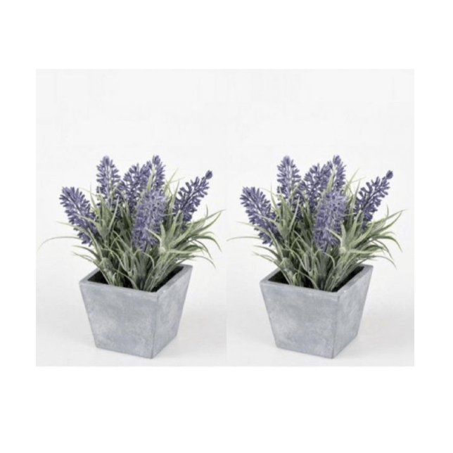 MACETITA LAVANDA CUADRADA